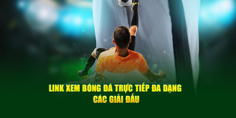 CakhiaTV – Trực tiếp bóng đá chất lượng TOP đầu tại VN 11 Link xem bóng đá trực tiếp đa dạng các giải đấu