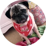 CakhiaTV – Trực tiếp bóng đá chất lượng TOP đầu tại VN 22 Khán giả Lữ Đoàn Cho Đỉm